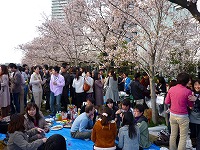 Hanami Party - Networking Party