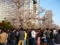 Hanami Party - Networking Party