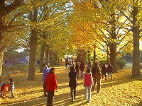 Vital Japan �o�C�����K���v���t�F�b�V���i���̕׋��� - �A�E�g�h�A�C�x���g